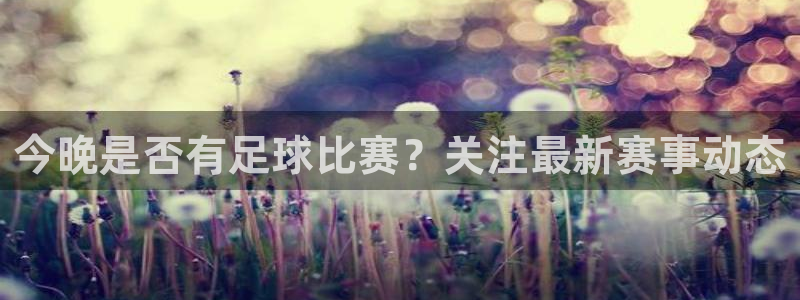  今晚是否有足球比赛？关注最新赛事动态