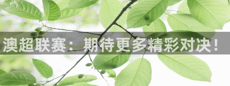 澳超联赛：期待更多精彩对决！