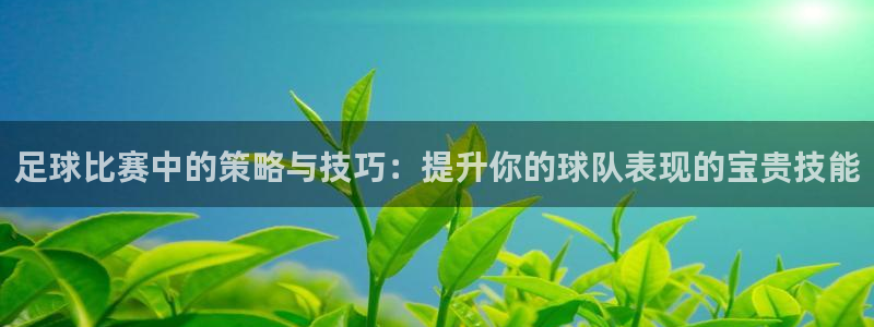 足球比赛中的策略与技巧：提升你的球队表现的宝贵技能
