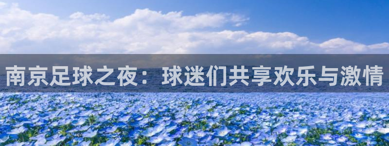南京足球之夜：球迷们共享欢乐与激情