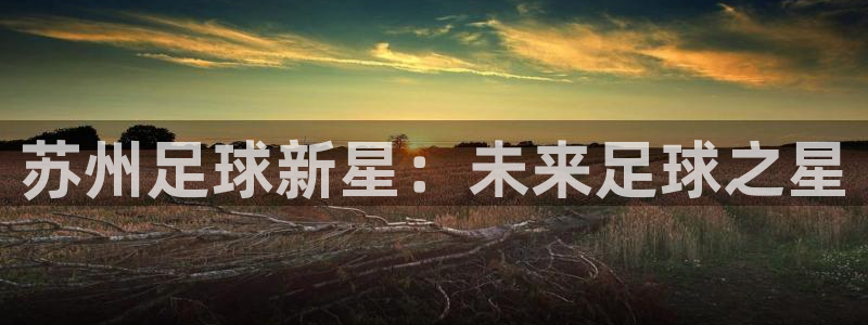 苏州足球新星：未来足球之星