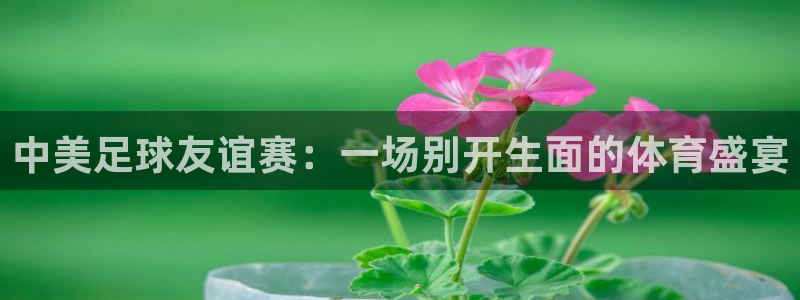  中美足球友谊赛：一场别开生面的体育盛宴