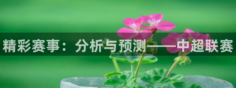  精彩赛事：分析与预测——中超联赛