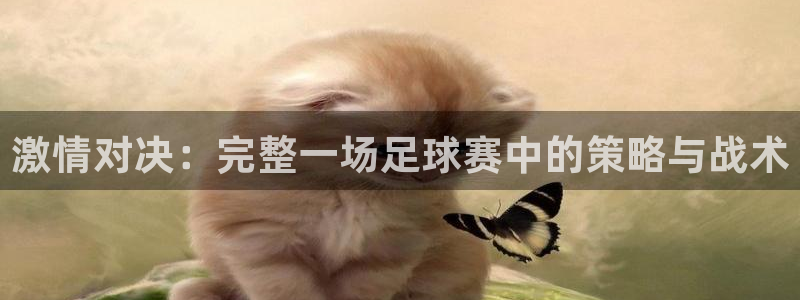 激情对决：完整一场足球赛中的策略与战术