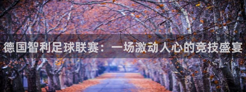 德国智利足球联赛：一场激动人心的竞技盛宴