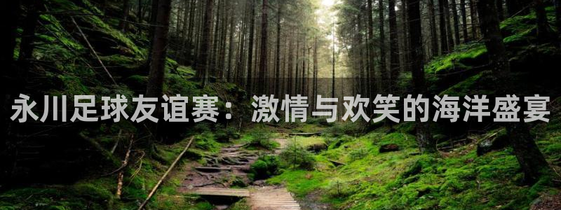  永川足球友谊赛：激情与欢笑的海洋盛宴
