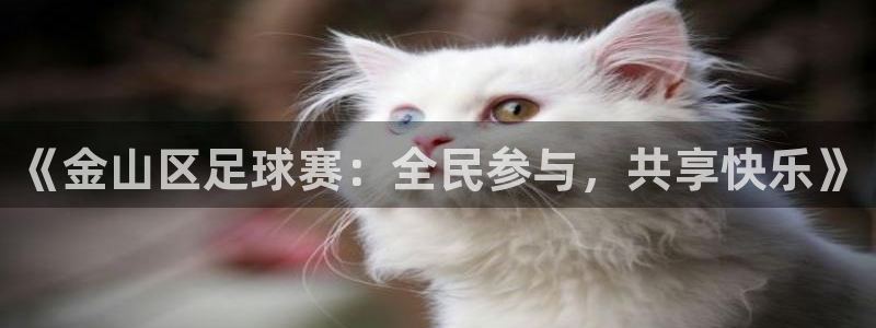  《金山区足球赛：全民参与，共享快乐》
