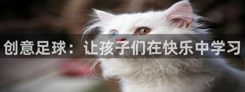  创意足球：让孩子们在快乐中学习