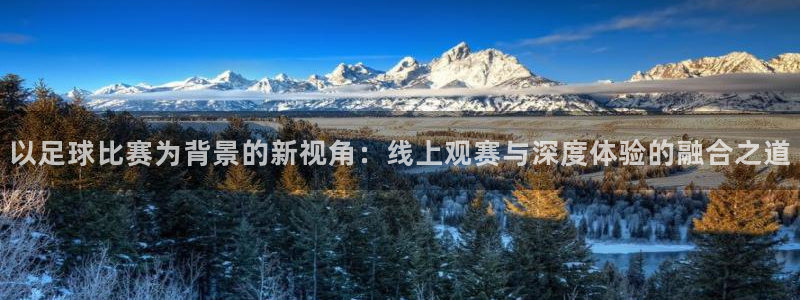 以足球比赛为背景的新视角：线上观赛与深度体验的融合之道