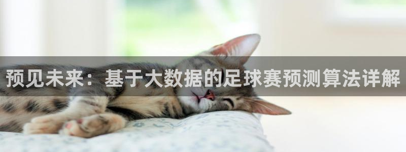 预见未来：基于大数据的足球赛预测算法详解
