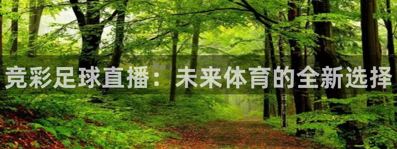 竞彩足球直播：未来体育的全新选择