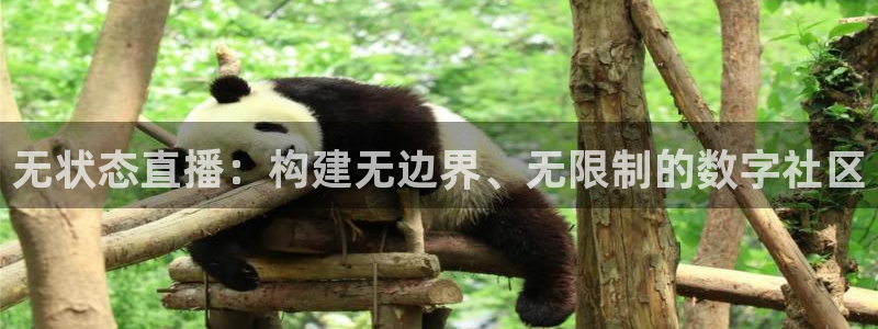 nba斗球直播在线观看