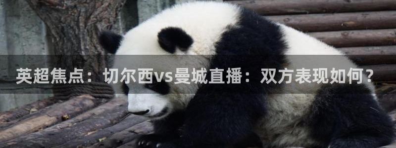 斗球网球直播