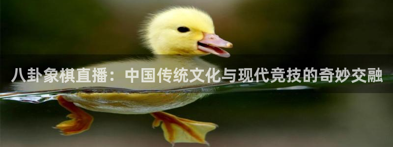 斗球直播ios版：八卦象棋直播：中国传统文化与现代竞技的奇妙交融