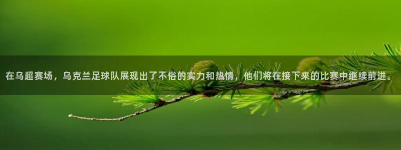 在乌超赛场，乌克兰足球队展现出了不俗
