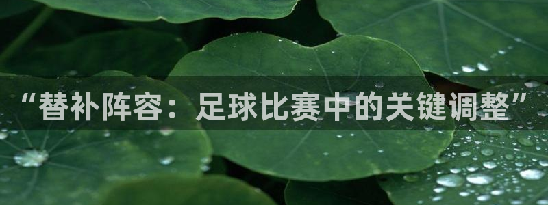 “替补阵容：足球比赛中的关键调整”