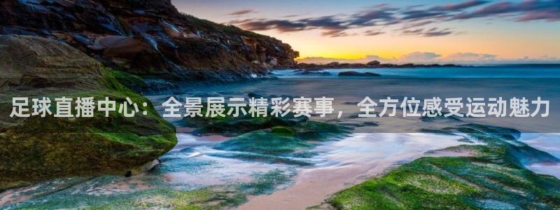 足球直播中心：全景展示精彩赛事，全方位感受运动魅力