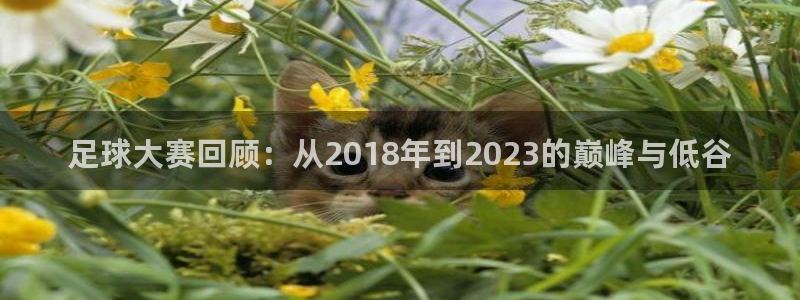  足球大赛回顾：从2018年到2023的巅峰与低谷