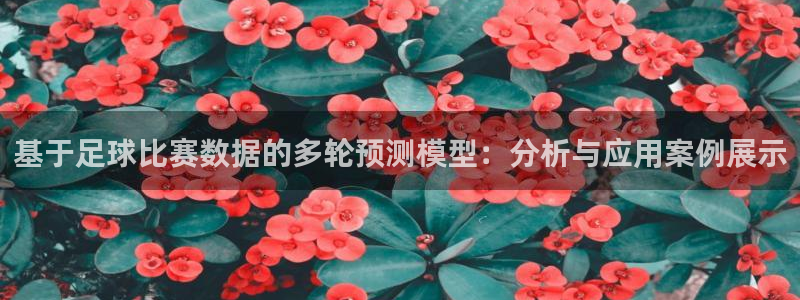 基于足球比赛数据的多轮预测模型：分析与应用案例展示