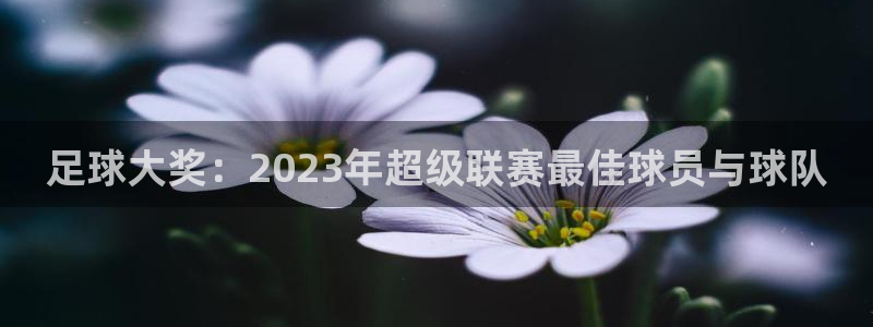 足球大奖：2023年超级联赛最佳球员与球队