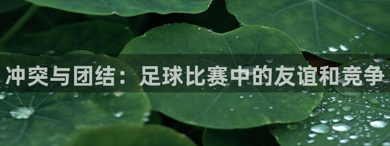 冲突与团结：足球比赛中的友谊和竞争