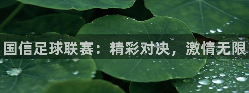国信足球联赛：精彩对决，激情无限