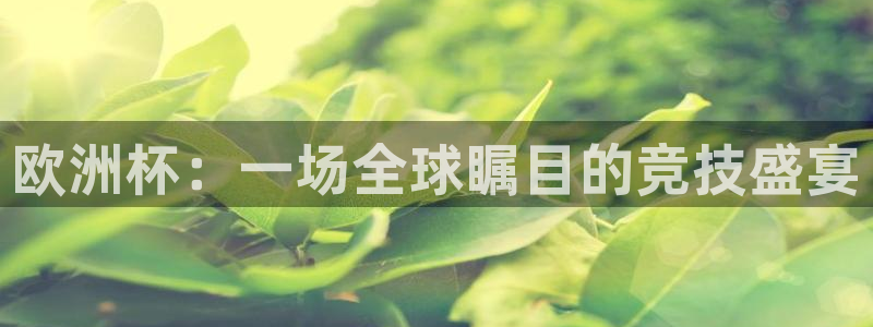 欧洲杯：一场全球瞩目的竞技盛宴