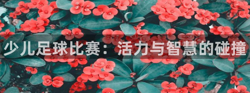 少儿足球比赛：活力与智慧的碰撞