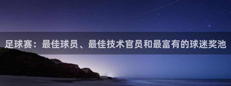 足球赛：最佳球员、最佳技术官员和最富