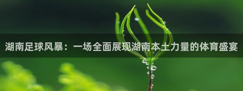  湖南足球风暴：一场全面展现湖南本土力量的体育盛宴
