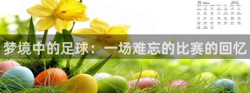 梦境中的足球：一场难忘的比赛的回忆