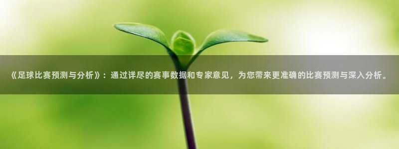 《足球比赛预测与分析》：通过详尽的赛