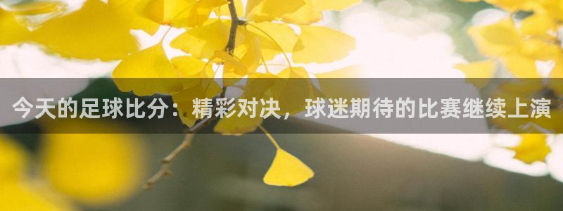 今天的足球比分：精彩对决，球迷期待的