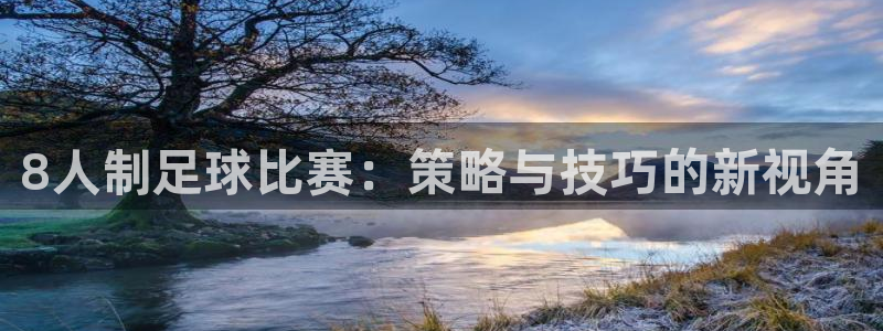 8人制足球比赛：策略与技巧的新视角