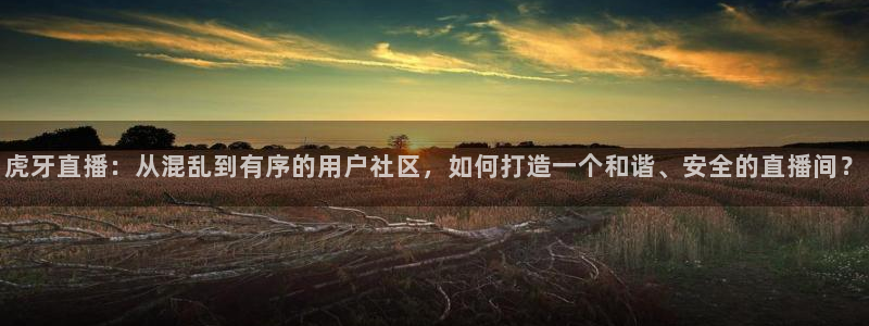 斗球nba足球篮球体育直播：虎牙直播：从混乱到有序的用户社区，如何打造一个和谐、安全的直播间？