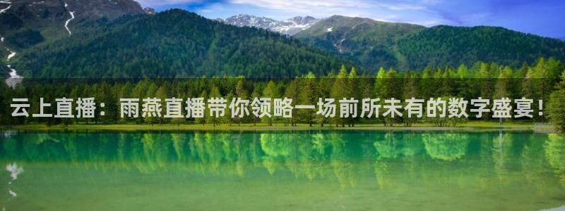 斗球直播官网入口：云上直播：雨燕直播带你领略一场前所未有的数字盛宴！